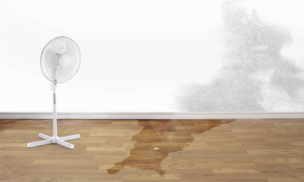  Shaw, MS Water damage restoration Pros